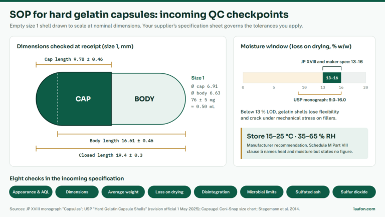 SOP for hard gelatin capsules infographic: size 1 empty capsule dimensions, the JP 13–16 % and USP 9.0–16.0 % loss on drying window, and storage at 15–25 °C and 35–65 % RH