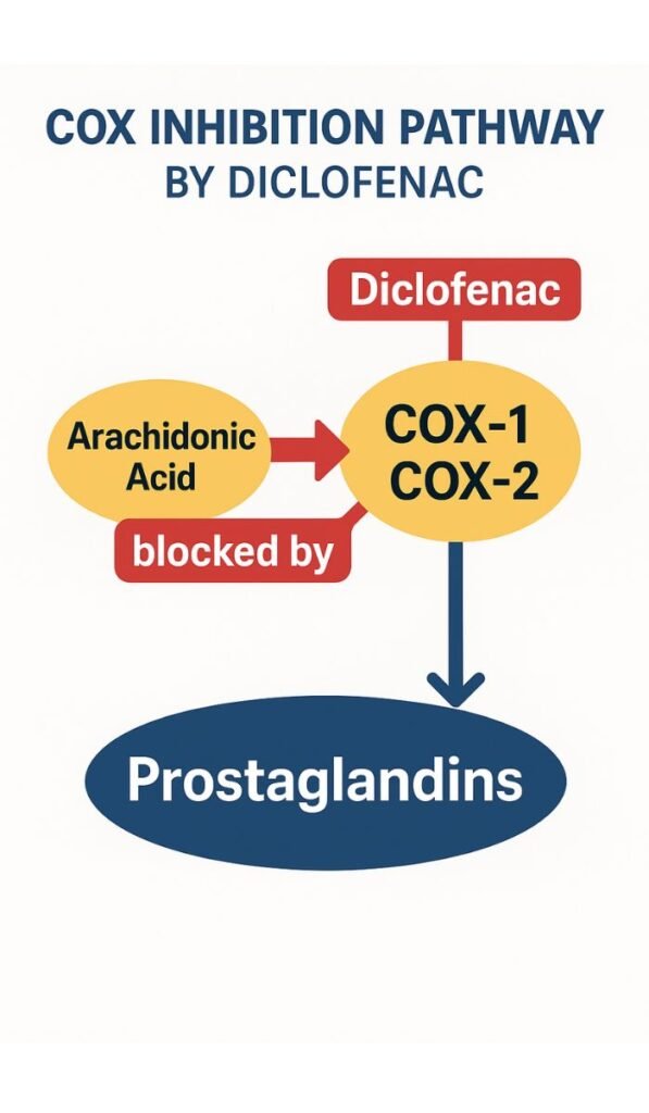 Diclofenac Injection 75mg/ml - Uses, Dosage & MOA | Laadic Injection Mechanism of action of Diclofenac