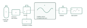 Gas chromatography in pharmaceutical industry: flow path from carrier gas cylinder and headspace sampler through the injector and capillary column oven to the flame ionisation detector