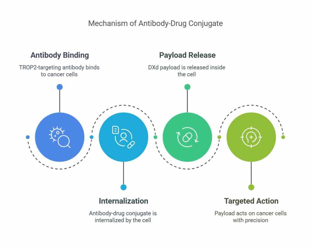 mechanism of action of datroway datopotamab deruxtecan