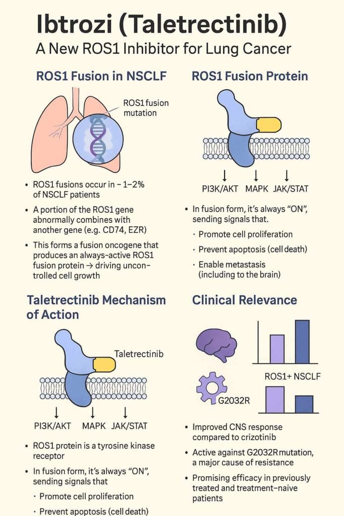 Ibtrozi™ (Taletrectinib) | A New Era in ROS1-Positive NSCLC Treatment ibtrozi