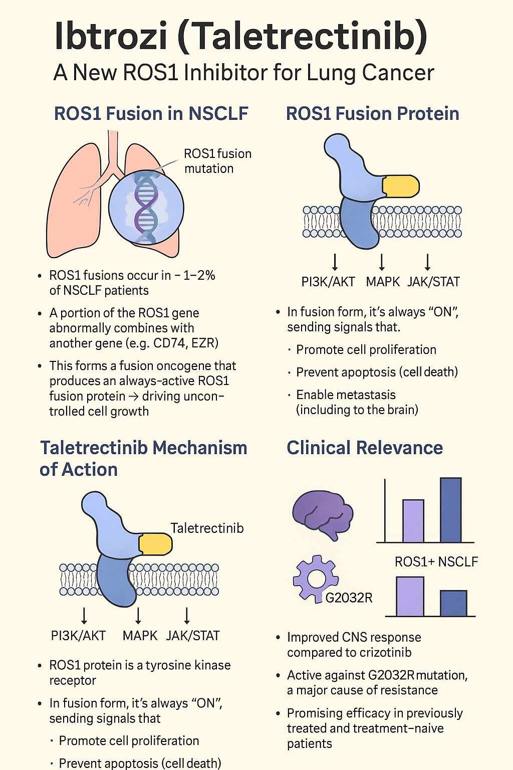 Ibtrozi™ (Taletrectinib) | A New Era in ROS1-Positive NSCLC Treatment ...